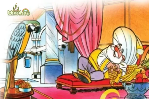 çakal ile papağan masalı